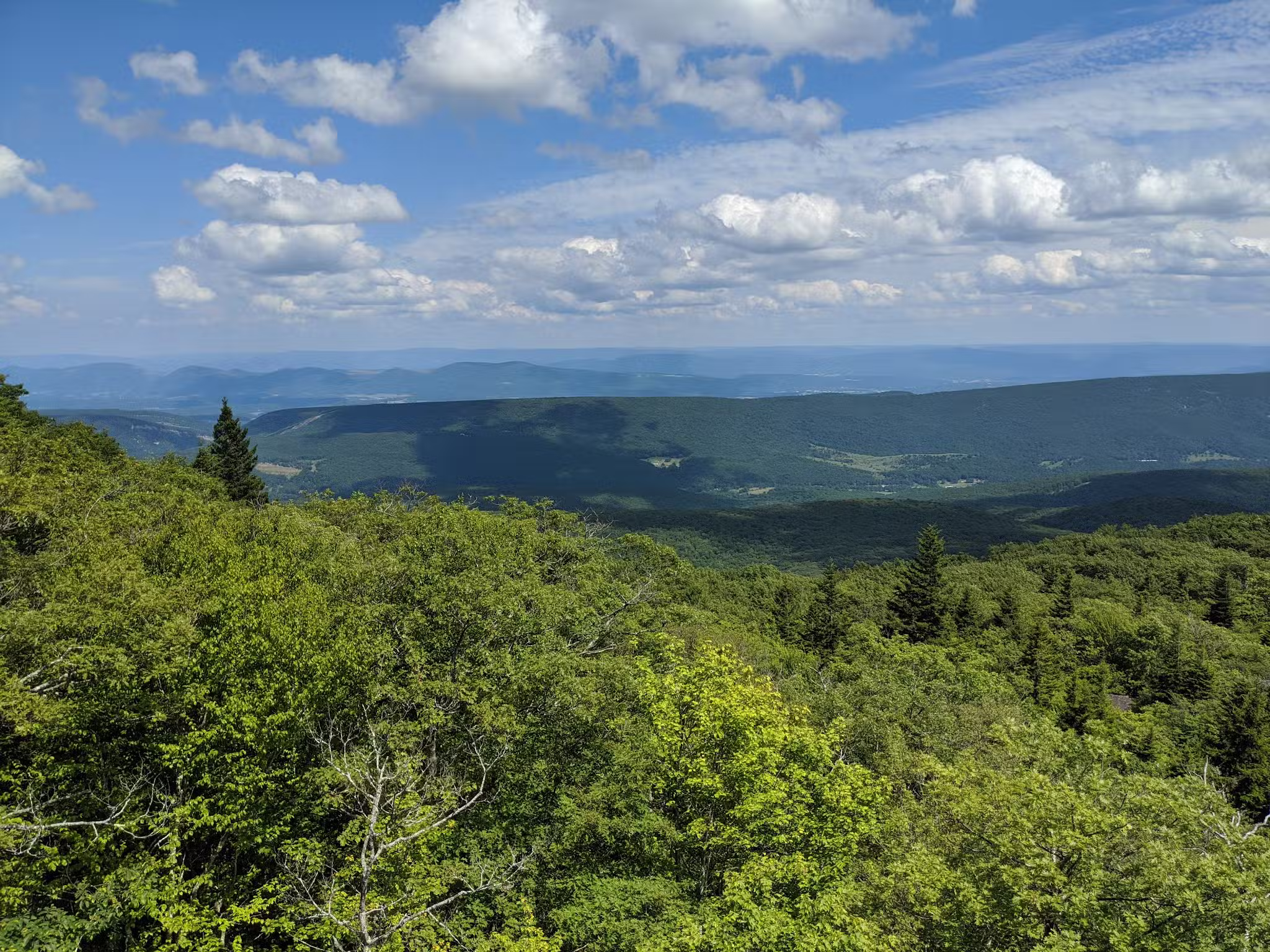 Red Creek Campground - Petersburg, WV