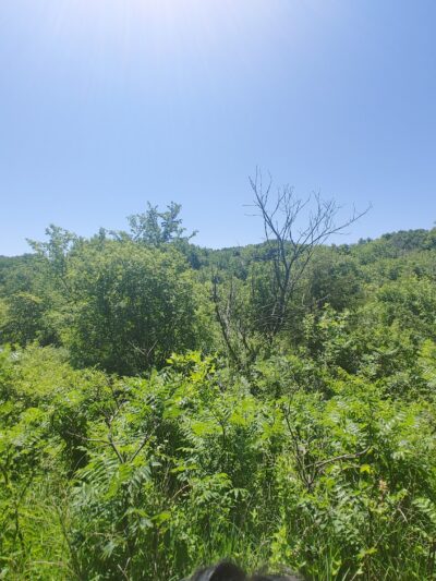 Buena Vista County Park - Peterson, IA