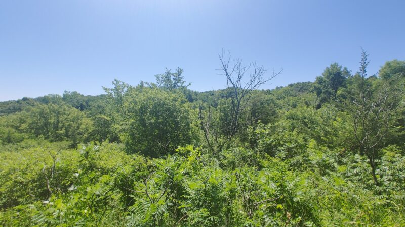 Buena Vista County Park - Peterson, IA