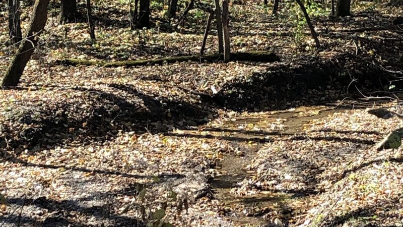 Buena Vista County Park - Peterson, IA