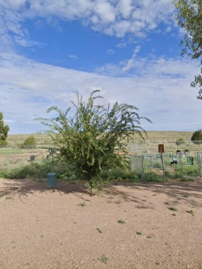 Painted Desert Dog park - Petrified Forest National Park, AZ