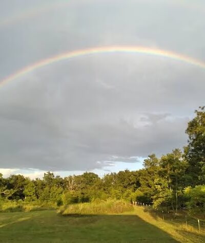 Pettigrew RV Park and Recreational Campground - Pettigrew, AR