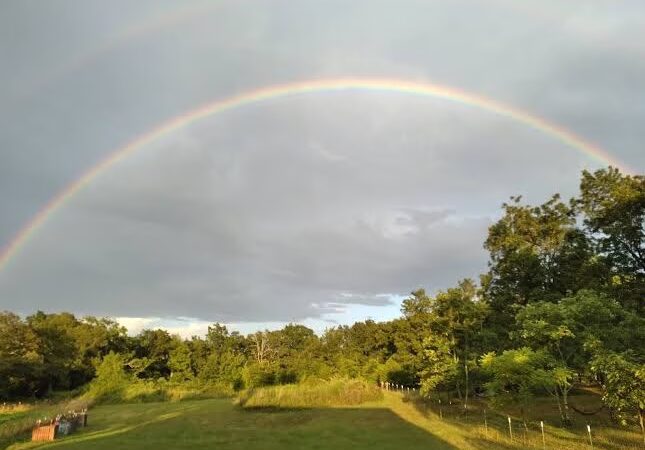 Pettigrew RV Park and Recreational Campground - Pettigrew, AR