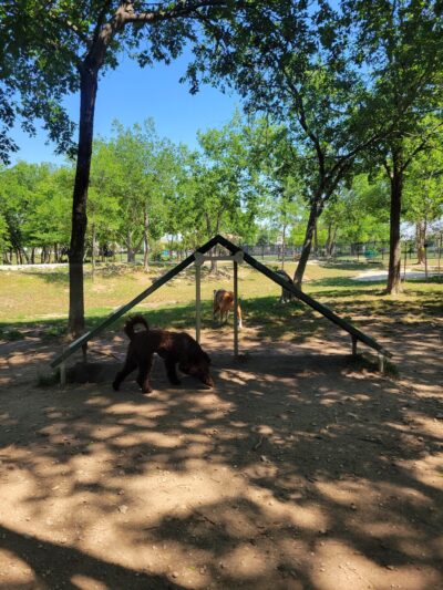 Northtown Dog Park - Pflugerville, TX