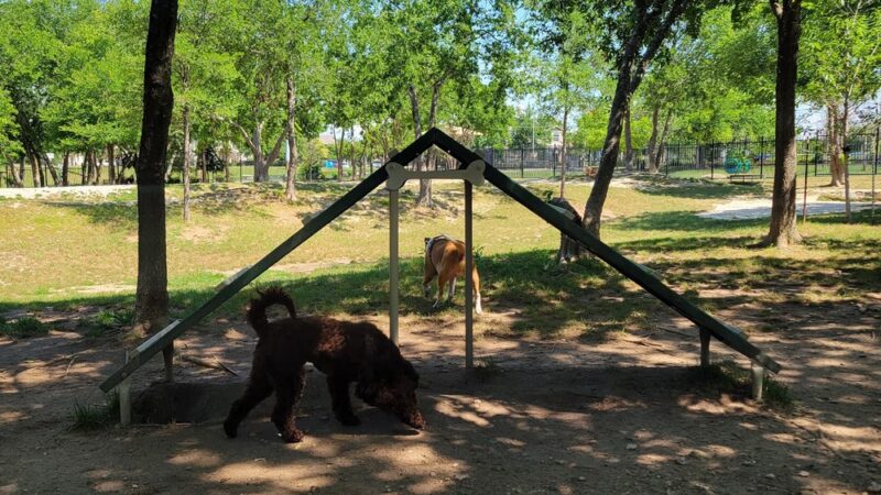 Northtown Dog Park - Pflugerville, TX