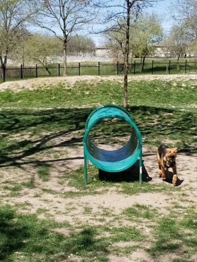 Northtown Dog Park - Pflugerville, TX