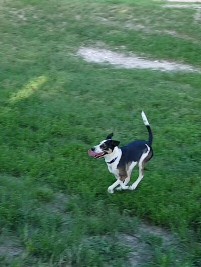 Stoney Creek Park - Pflugerville, TX