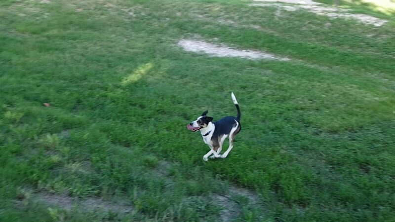 Stoney Creek Park - Pflugerville, TX