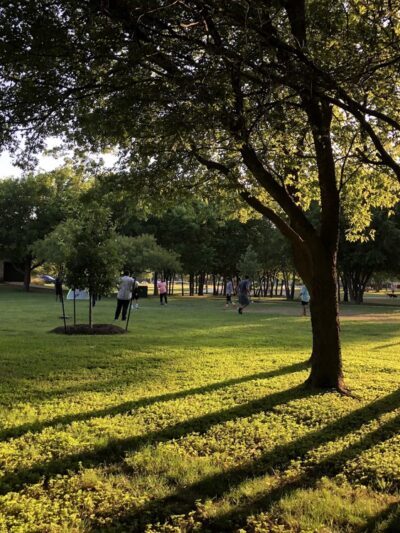 Stoney Creek Park - Pflugerville, TX