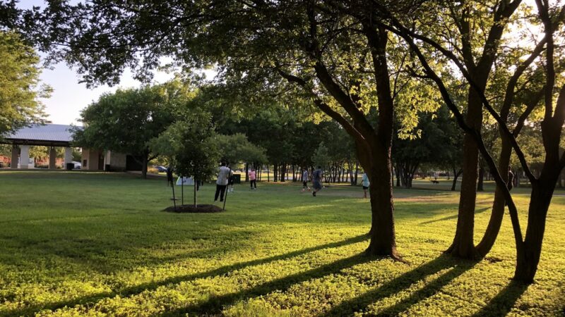 Stoney Creek Park - Pflugerville, TX