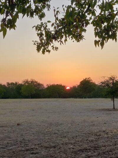 Stoney Creek Park - Pflugerville, TX