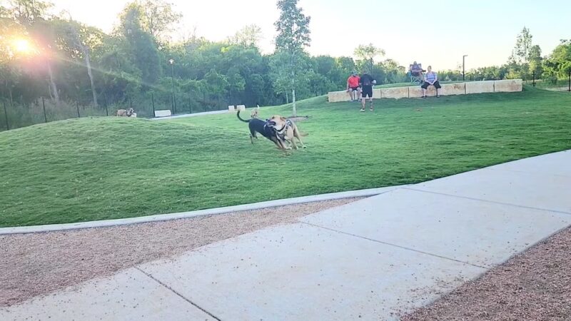 Wilbarger Creek Dog Park - Pflugerville, TX
