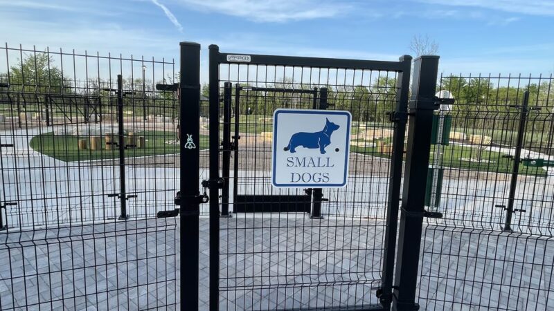 Wilbarger Creek Dog Park - Pflugerville, TX