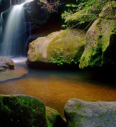 Dismals Canyon - Phil Campbell, AL
