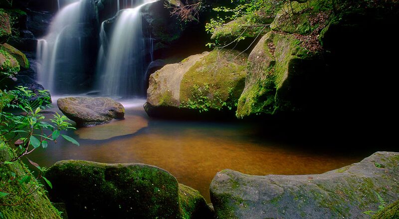 Dismals Canyon - Phil Campbell, AL