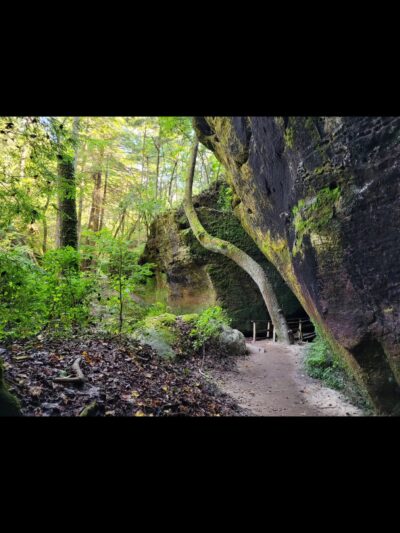 Dismals Canyon - Phil Campbell, AL