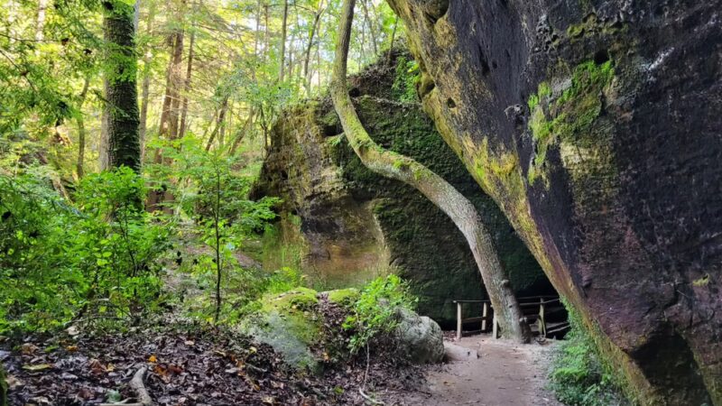 Dismals Canyon - Phil Campbell, AL