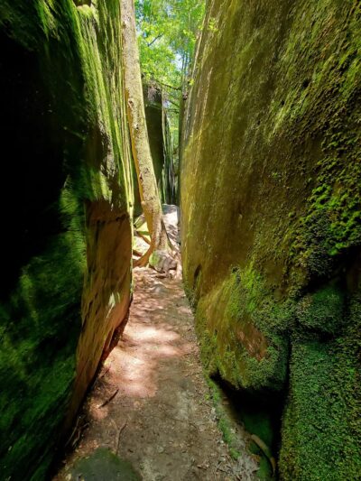 Dismals Canyon - Phil Campbell, AL