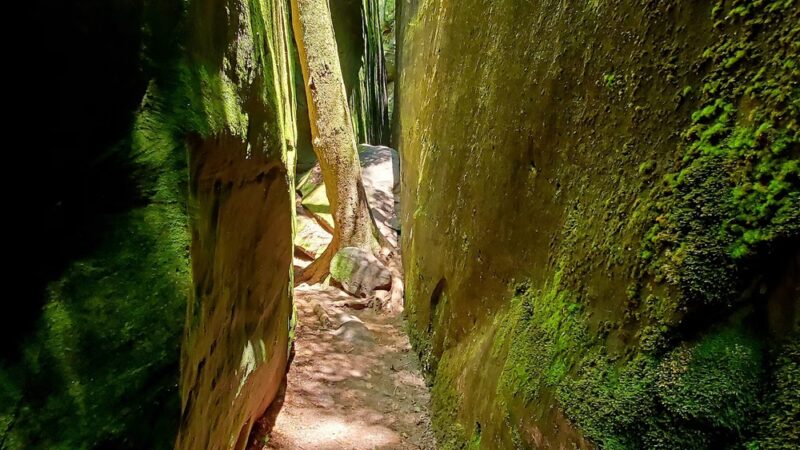 Dismals Canyon - Phil Campbell, AL