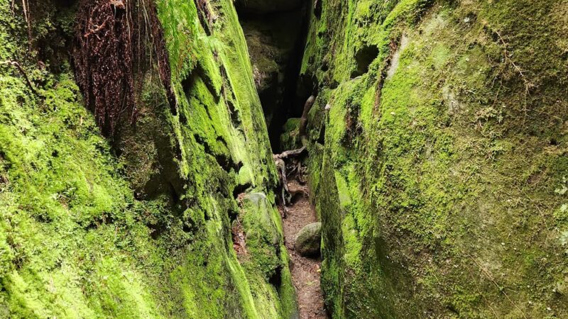 Dismals Canyon - Phil Campbell, AL