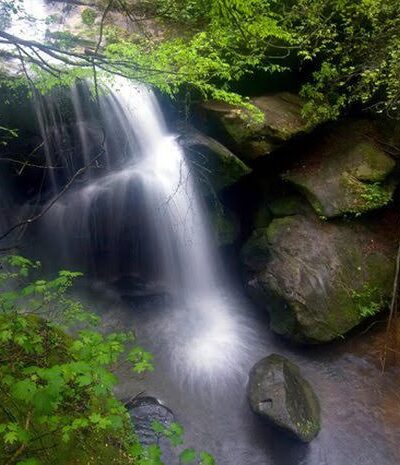 Dismals Canyon - Phil Campbell, AL