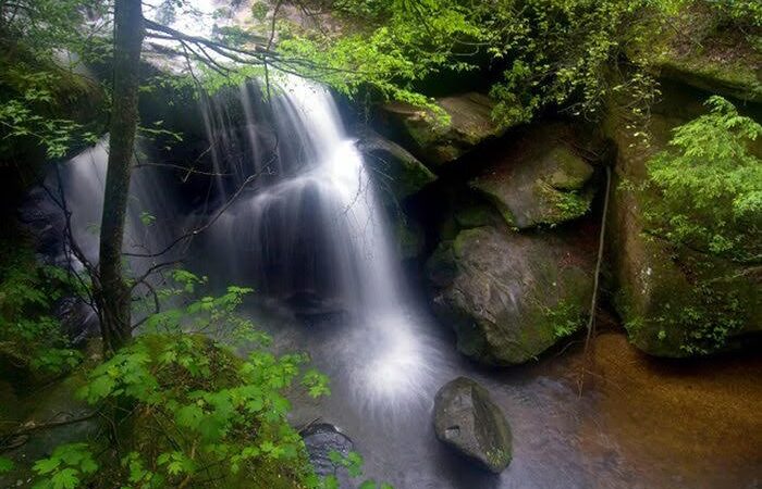 Dismals Canyon - Phil Campbell, AL