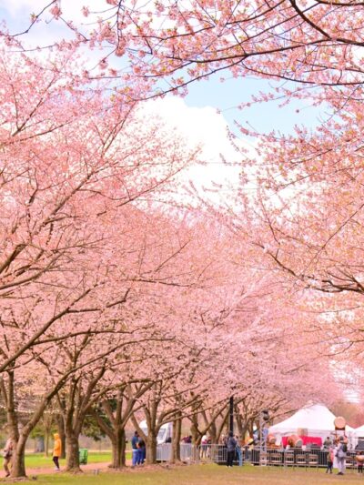 West Fairmount Park - Philadelphia, PA