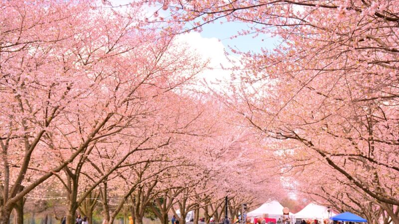 West Fairmount Park - Philadelphia, PA