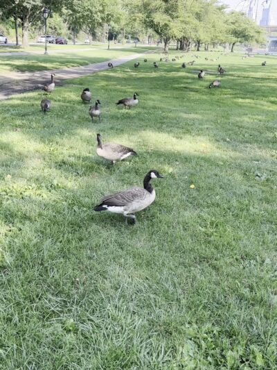 West Fairmount Park - Philadelphia, PA