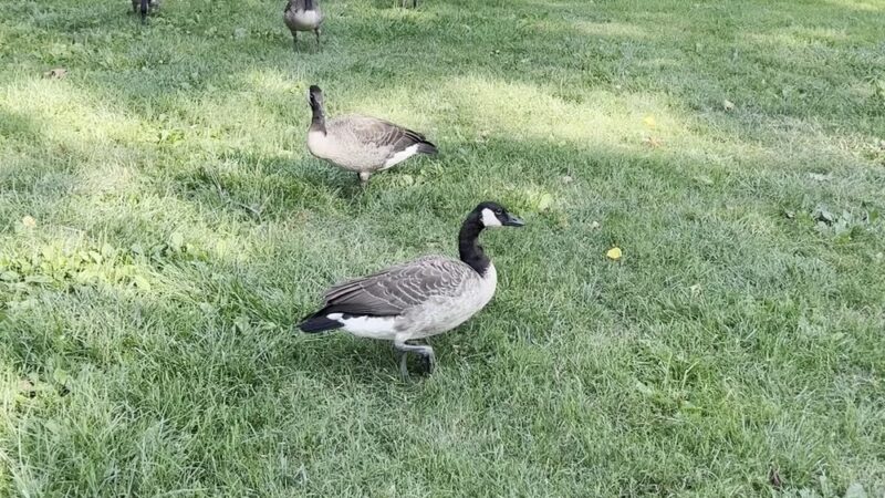 West Fairmount Park - Philadelphia, PA