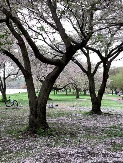 Fairmount Park - Philadelphia, PA