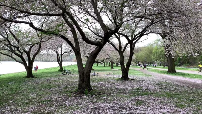 Fairmount Park - Philadelphia, PA