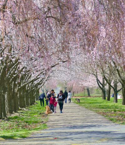 Fairmount Park - Philadelphia, PA