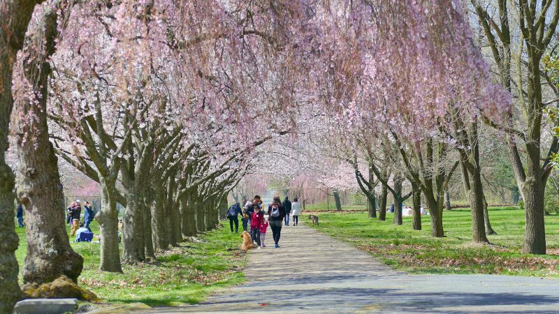 Fairmount Park - Philadelphia, PA