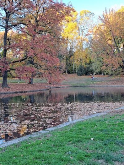 Pastorius Park - Philadelphia, PA