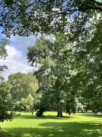 Pastorius Park - Philadelphia, PA