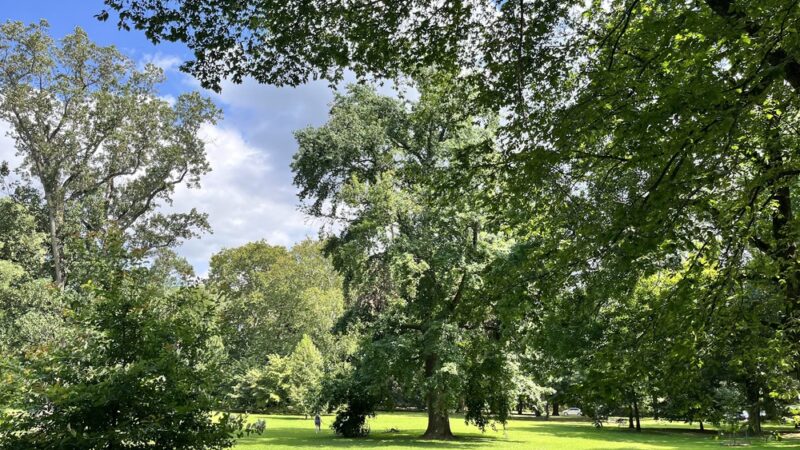 Pastorius Park - Philadelphia, PA