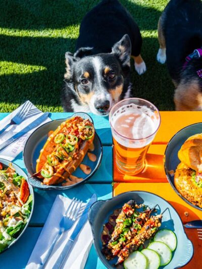 The Boozy Mutt - Philadelphia, PA