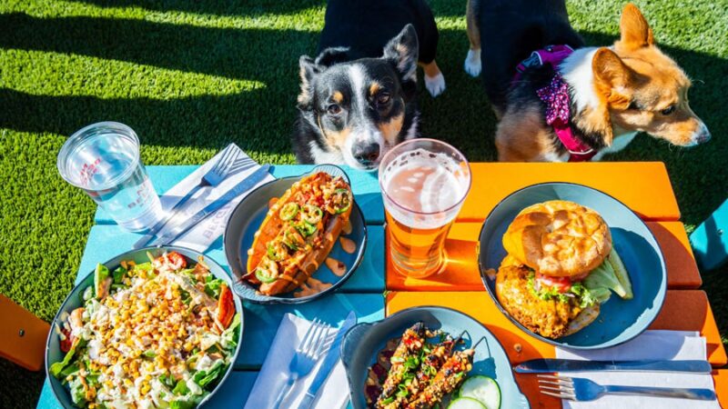 The Boozy Mutt - Philadelphia, PA