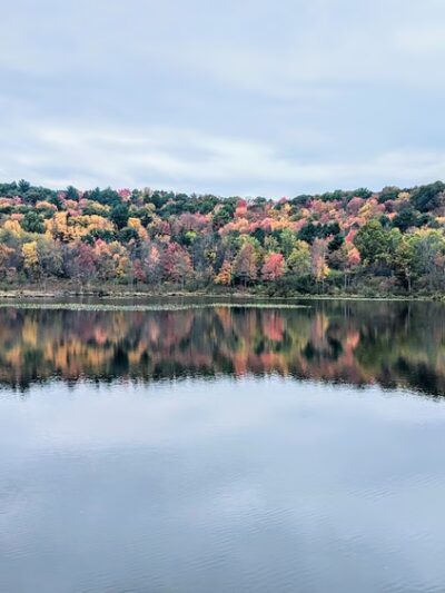 Cold Stream Dam & Recreation Park - Philipsburg, PA