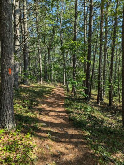 Cooley Center Pond Preserve Trailhead - Phippsburg, ME