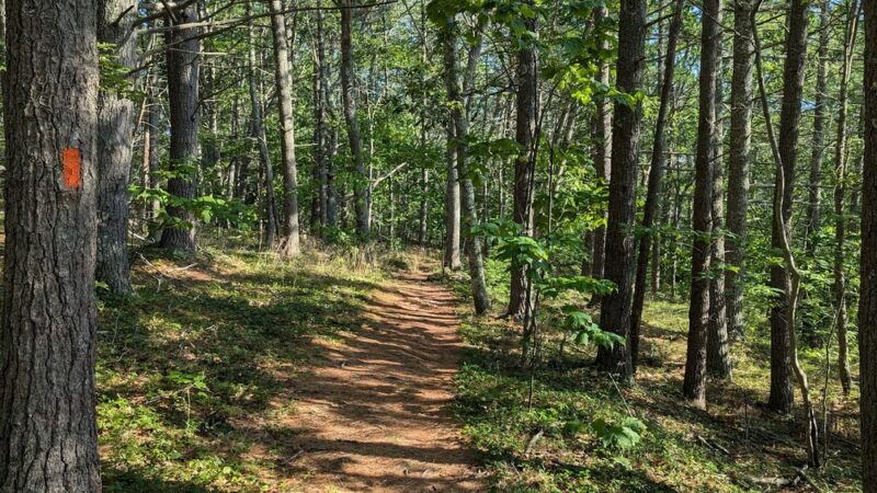 Cooley Center Pond Preserve Trailhead - Phippsburg, ME