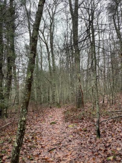 Cooley Center Pond Preserve Trailhead - Phippsburg, ME