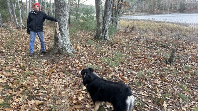 Cooley Center Pond Preserve Trailhead - Phippsburg, ME