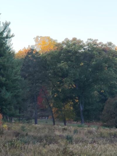 Artillery Park bathroom and parking - Phoenixville, PA