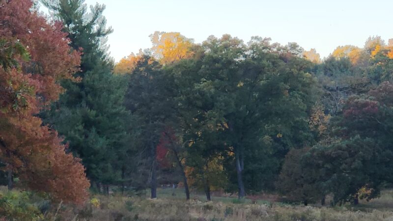Artillery Park bathroom and parking - Phoenixville, PA