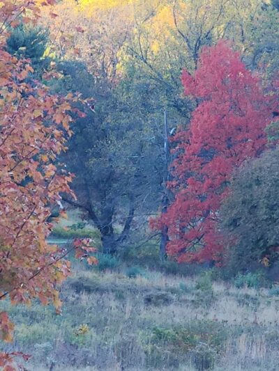 Artillery Park bathroom and parking - Phoenixville, PA