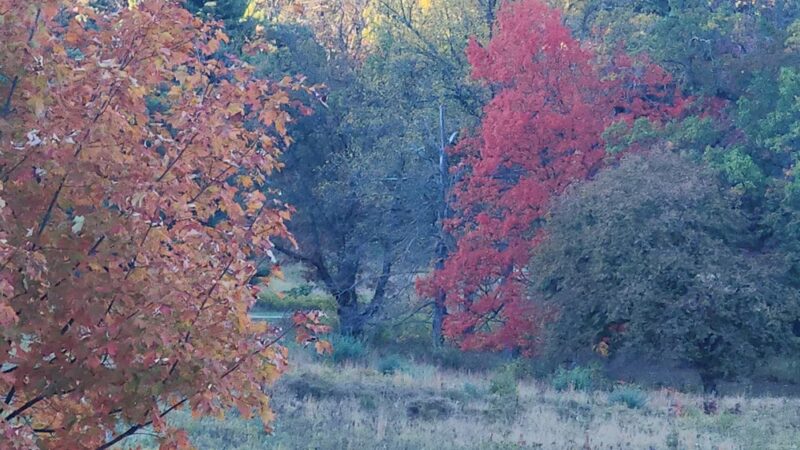 Artillery Park bathroom and parking - Phoenixville, PA