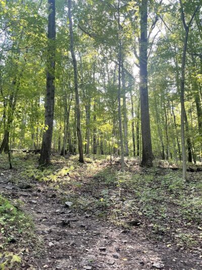 Mount Misery Trailhead - Phoenixville, PA