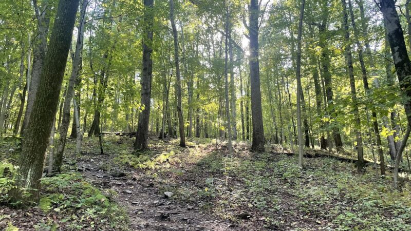 Mount Misery Trailhead - Phoenixville, PA
